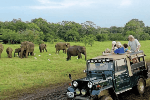 Safari de elefantes em Udawalawe e visita ao Transit Home, tudo incluídoTudo incluído/Recolha em Colombo e Negombo
