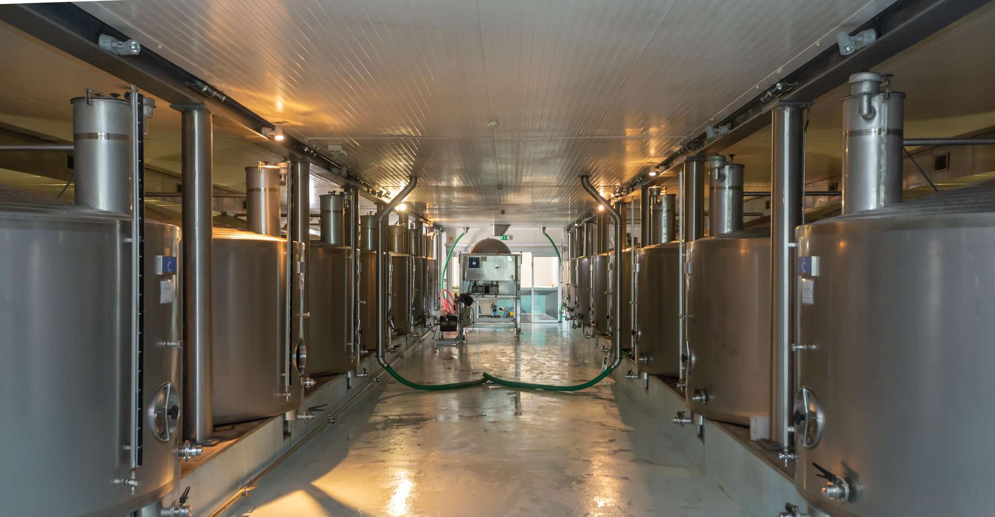 Visita la cantina Herdade Da Bear - Housity