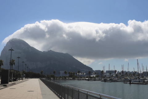 Gibilterra: Tour guidato da TorremolinosDa Malaga e dalla Costa del Sol: tour di Gibilterra