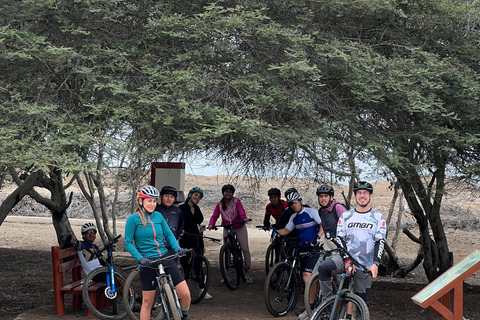 Trujillo: Chan Chan Bike Tour CHAN CHAN TOUR BY BICYCLE (E-bike)