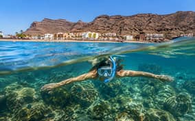  - Canarie.it