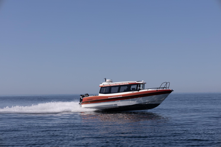 Helsinki: Private Boat Taxi Service