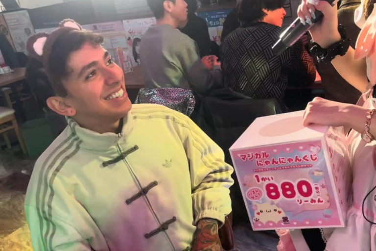 Akihabara Private Tour: Anime, Maid Café & Japanese Culture