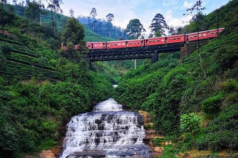 Kandy till Nuwaraeliya dagstur med Tuk Tuk