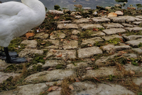 Ohrid - Visite à pied