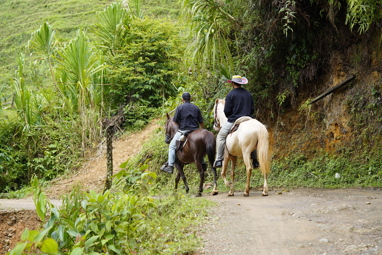 Medellín : excursion à cheval à Caldas avec boissonsMedellín : excursion équestre à Caldas avec boissons