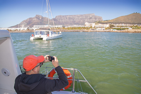 Rejs o zachodzie słońca z Cape Town Cruises