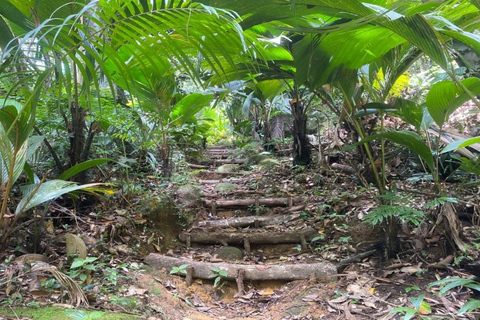 Mare Aux Cochon (Private Hiking Activity) - All Inclusive