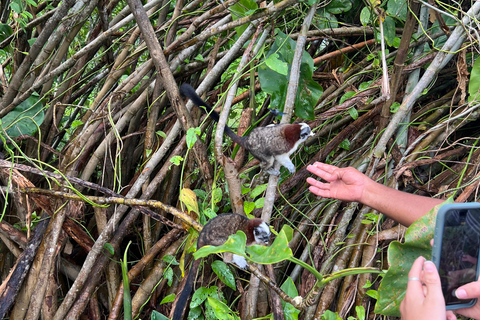 Panamá : Tour en bateau et faune sur le lac Gatun