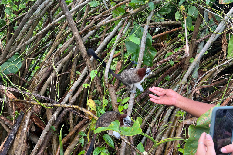 Panamá: Tour en barco y vida salvaje en el lago Gatún