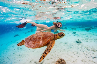 Rarotonga Tours