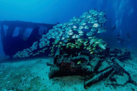 Cancun: Shipwreck and Reef Dives
