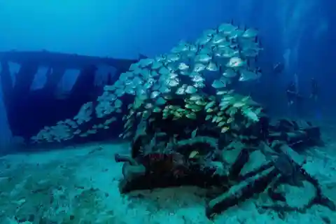 Cancun: Shipwreck and Reef Dives