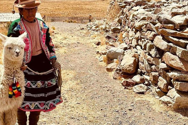 Cusco: Route of the sun + 1 day tour in Puno with hotel