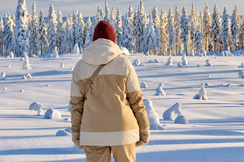 Rovaniemi: Snowshoeing Tour with Wild Lunch and Hotel Pickup