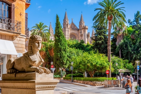Majorque : Palma de Majorque : forfait tout comprisMajorque : Palma de Mallorca All inclusive Pass