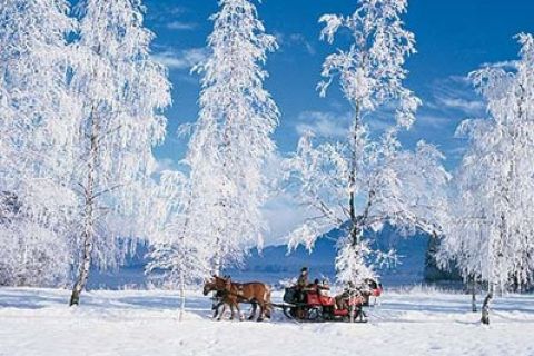From Salzburg: 8-Hour Tour with Horse-Drawn Sleigh Ride