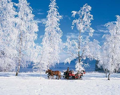 Visit From Salzburg 8-Hour Tour with Horse-Drawn Sleigh Ride in Ámsterdam, Países Bajos