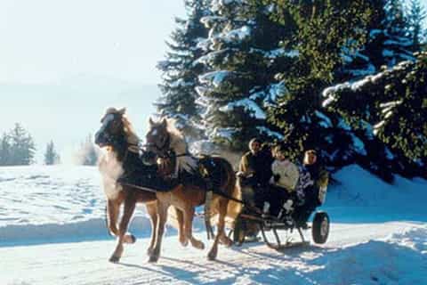 From Salzburg: 8-Hour Tour with Horse-Drawn Sleigh Ride