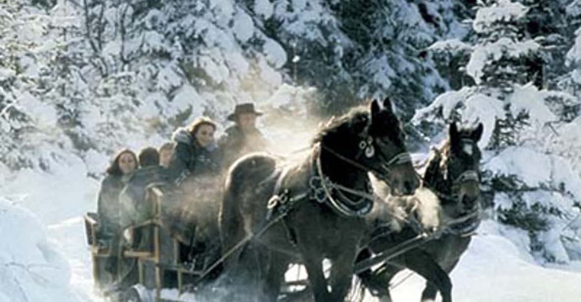 From Salzburg: 8-Hour Tour with Horse-Drawn Sleigh Ride