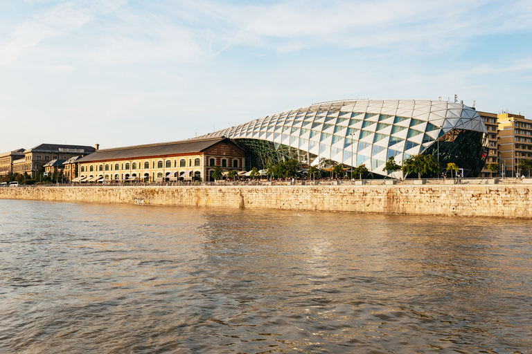 Budapest: Crucero turístico nocturno o diurnoCrucero turístico desde el lado Buda del río