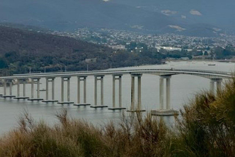 Hobart: River Derwent and Storm Bay Cruise