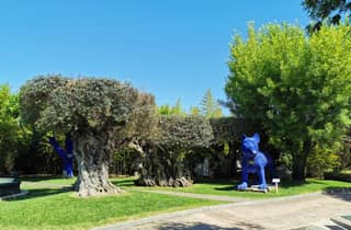 Lissabon zur Weinprobe in Setubal, zwei Weinkeller, Halbtagestour