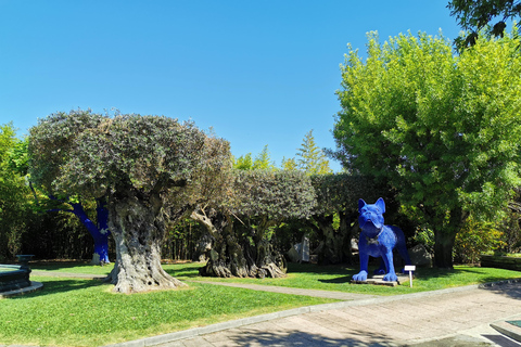 Lissabon zur Weinprobe in Setubal, zwei Weinkeller, HalbtagestourLissabon - Weinverkostung Setubal, zwei Kellereien, Halbtagestour