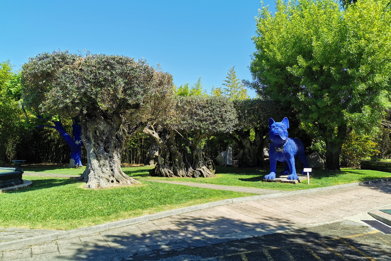 Lissabon zur Weinprobe in Setubal, zwei Weinkeller, HalbtagestourLissabon - Weinverkostung Setubal, zwei Kellereien, Halbtagestour
