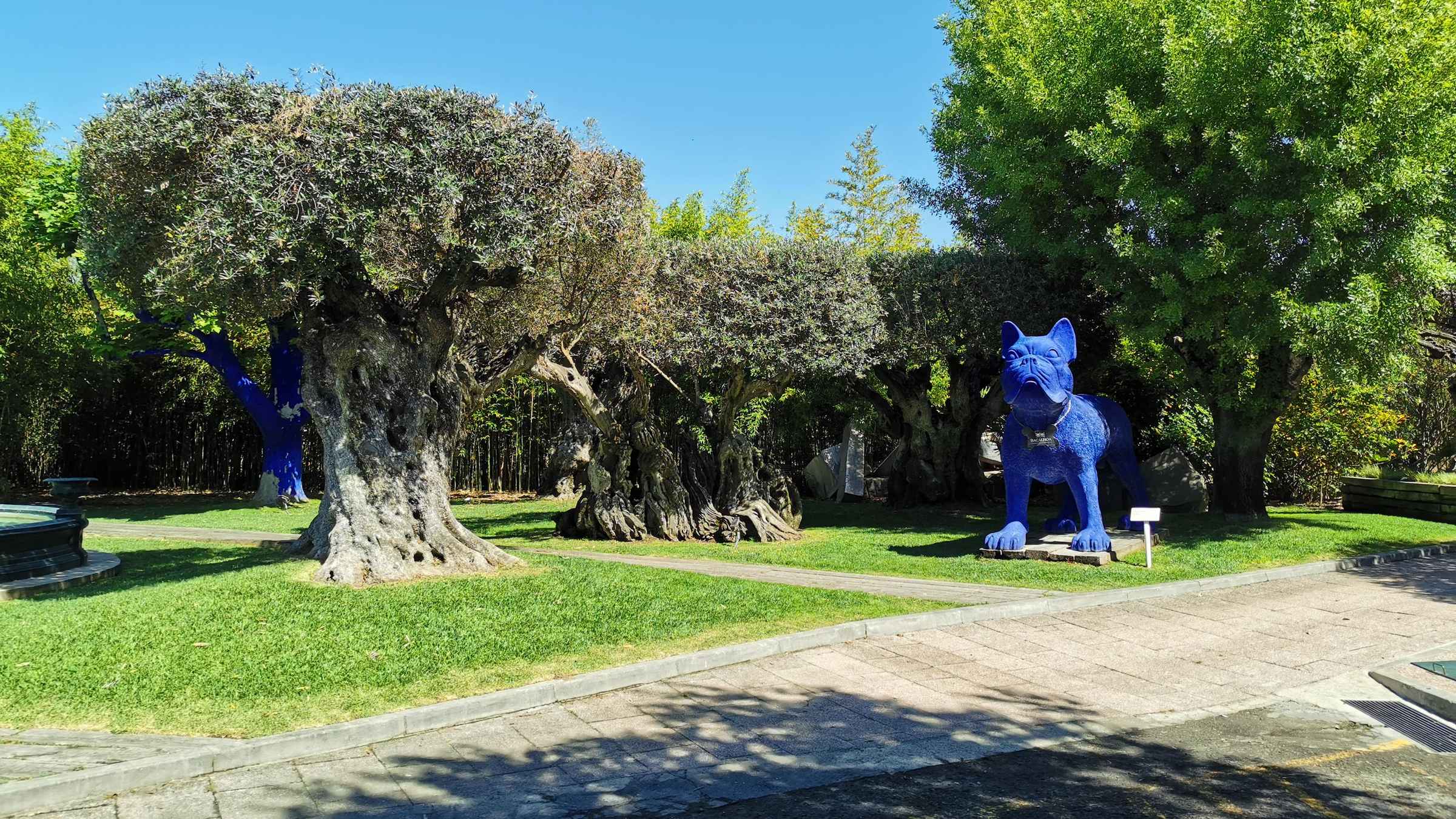 Lisboa para Prova de Vinhos Setúbal, Duas Adegas, Excursão de Meio Dia