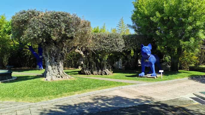 Lisbon to Wine Tasting Setubal, Two Cellars, Half Day Tour