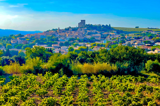 Romans and Wine