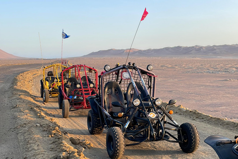 VISITE A RESERVA NACIONAL DE PARACAS EM UM MINI BUGGY