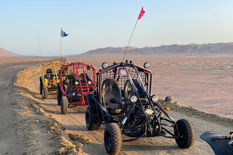 BEZOEK HET PARACAS NATIONAAL RESERVAAT IN EEN MINIBUGGY