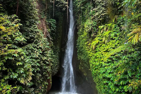 Bali: Monkey Forest Sangeh , Pura & Waterfall Private Tour Bali: Private Tour With Ticket ( Included Ticket )