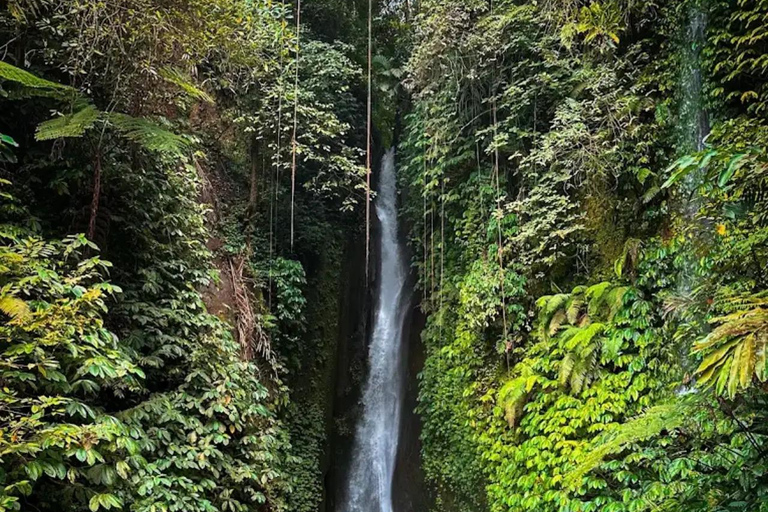 Bali: Monkey Forest Sangeh , Pura & Waterfall Private Tour Bali: Private Tour With Ticket ( Included Ticket )