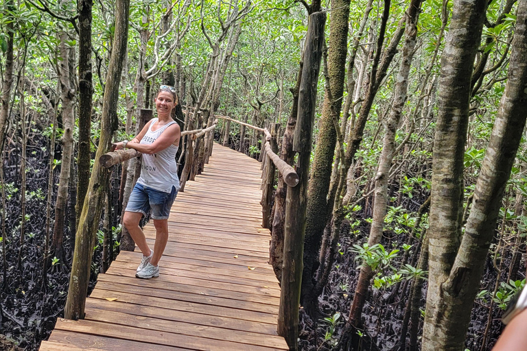 Zanzibar: Stone Town, fattoria delle spezie e tour della foresta di Jozani