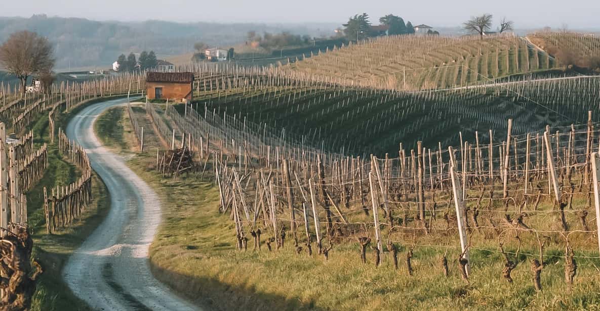 Afbeelding 5 van Monferrato: begeleide tour met MTB E-Bike om de wijngaarden te ontdekken