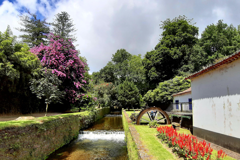 São Miguel: Ganztagestour zum Vulkan Furnas und zur Nordeste