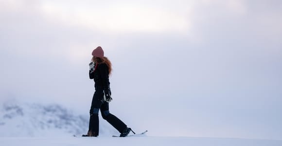 Abisko: Guided Arctic Snowshoe Hike with Photos & Snacks