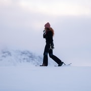 Abisko: Guided Arctic Snowshoe Hike with Photos & Snacks