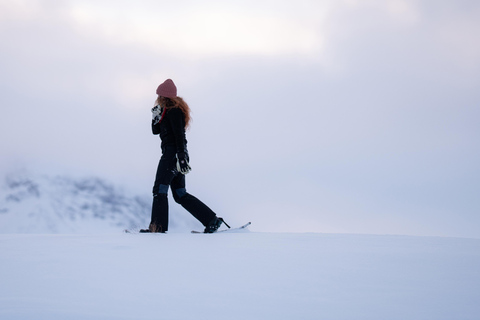 Abisko: Guided Arctic Snowshoe Hike with Photos & Snacks
