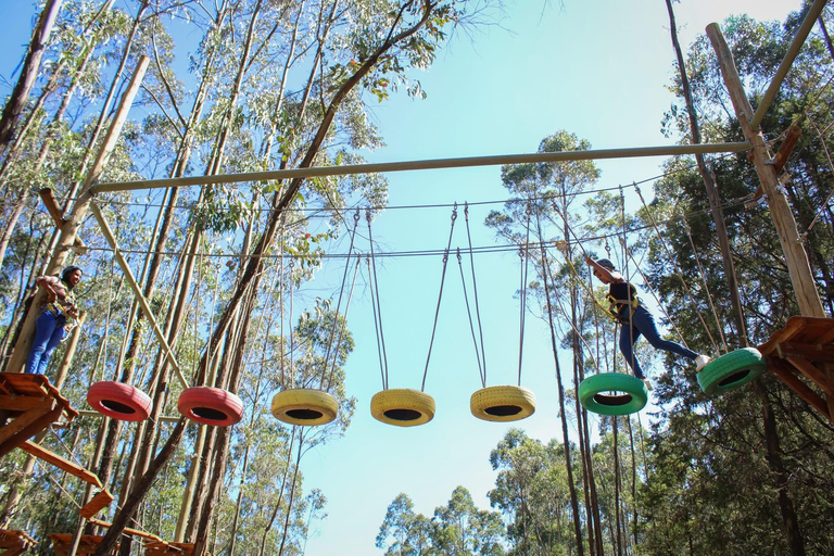 Addis Ababa: Entoto Forest Walk & Craft Workshop Tour