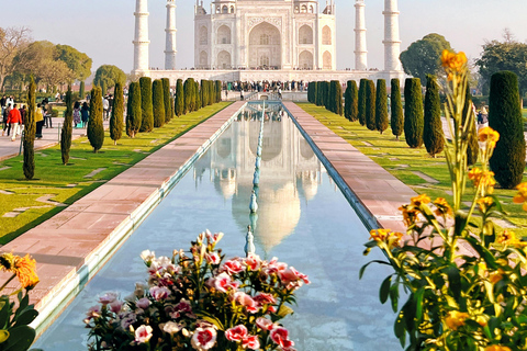 From Delhi: All-Inclusive Agra / Taj Mahal Tour From Delhi: All-Inclusive Agra / Taj Mahal Tour