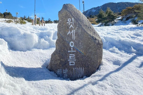 Jeju: HALLASAN National Park Guided Snow Climb (5hr_w/Gear)