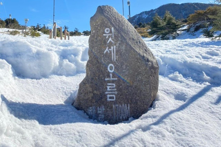 Jeju: HALLASAN National Park Guided Snow Climb (5hr_w/Gear)