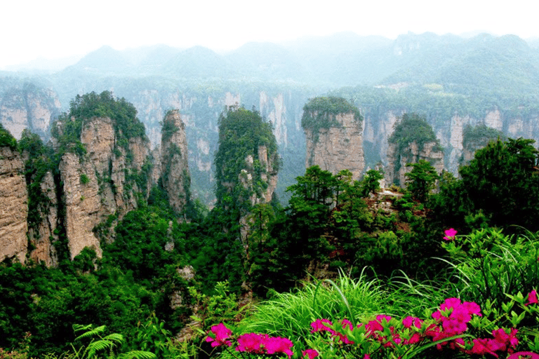 Zhangjiajie National park Hallelujah Mountain day tour Zhangjiajie National park day tour start from Zhangjajie