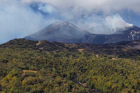 Family Safari – An experience for all ages on Mount Etna