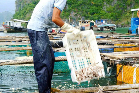 Hanoi/Cat Ba: Lan Ha Bay Day Cruise with Dark & Bright Caves Day Trip Cruise Pick up & Drop Off From Cat Ba Town