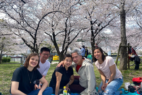 Osaka: Springtime Sakura Picnic "Hanami"